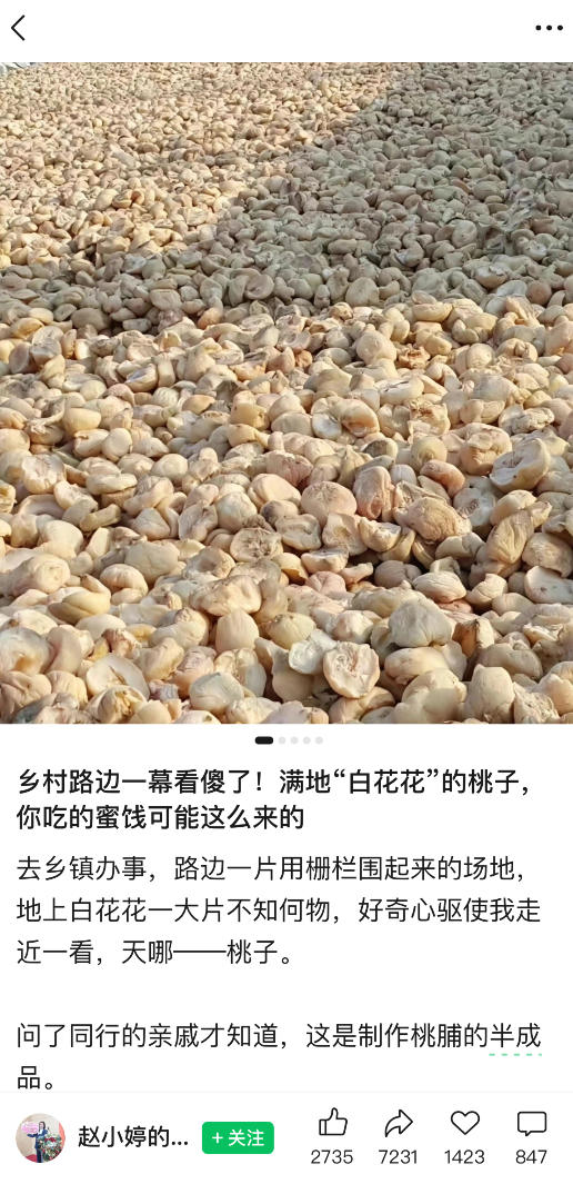 b53b880a69b25ba.jpg 公众号小绿书贴图项目,赚收益实操玩法,听话照听话照少走90%弯路丨副业可做