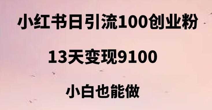 fy1279期-小红书日引流100+创业粉，13天变现9100，创业首选引流平台