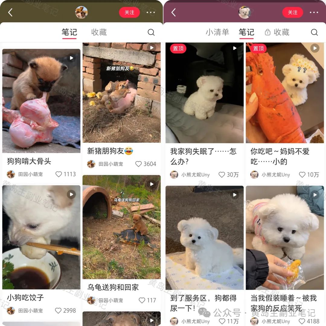 流量非常高的萌宠类赛道，小白轻松上手的副业思路，玩法拆解！