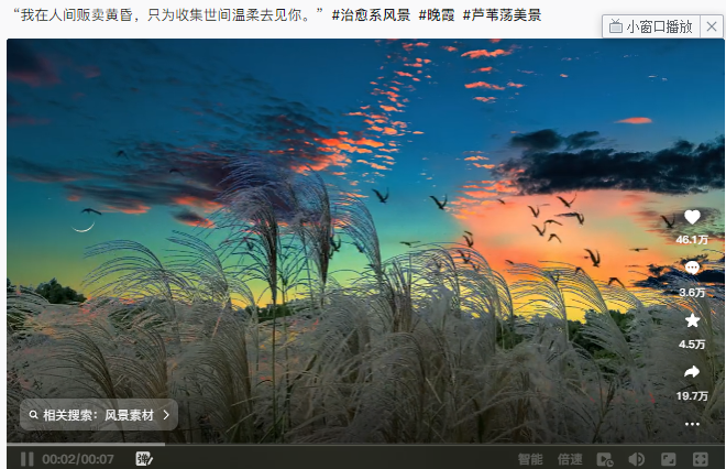 适合新手操作，简单易懂，条条爆款，收益拉满