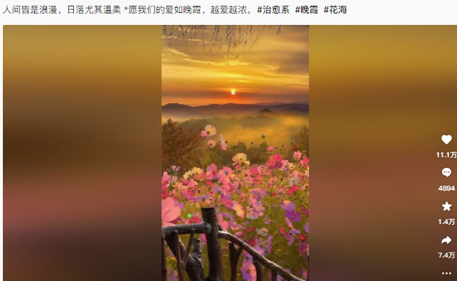 适合新手操作，简单易懂，条条爆款，收益拉满