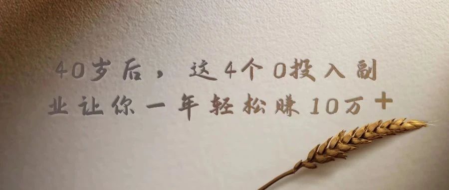 40岁后，这4个0投入副业让你一年轻松多赚10万+，十个人就能做