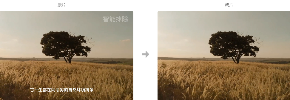 frc-5a3105fbe13db65b349afbae211a24a6.png 【项目拆解】二创混剪福音,视频横转竖更改视频尺寸,智能视频抹除水印