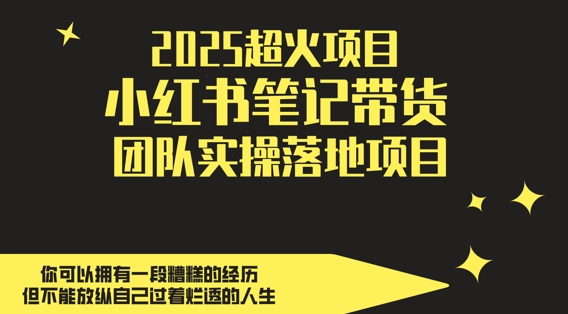 2025超火项目，副业最佳选择，小红书笔记带货团队实操落地项目，轻松日入5张