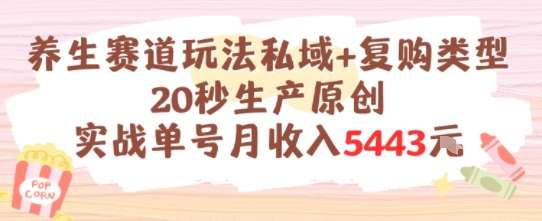 养生赛道玩法私域+复购类型，20秒生产原创实战单号月收入5k+