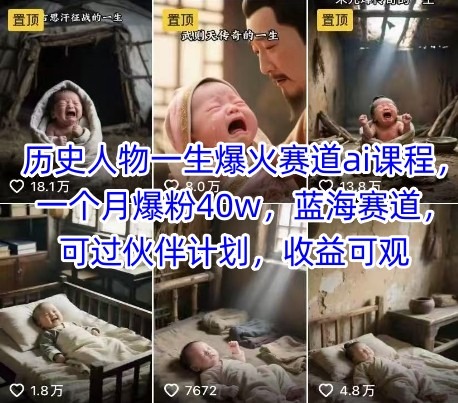 历史人物一生爆火赛道ai课程，一个月爆粉40w，蓝海赛道，可过伙伴计划，收益可观