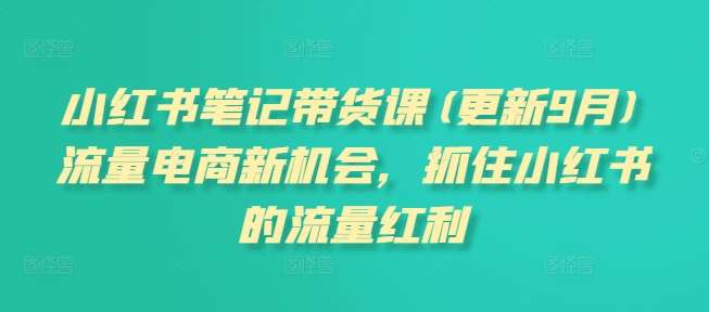 小红书笔记带货课(更新25年6月)流量电商新机会，抓住小红书的流量红利
