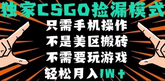 CSGO自动捡漏项目，最新独家玩法，不是美区搬砖，不需要了解和玩游戏，一个手机即可操作，新手小白轻松月入1W+，操作简单易上手【揭秘】