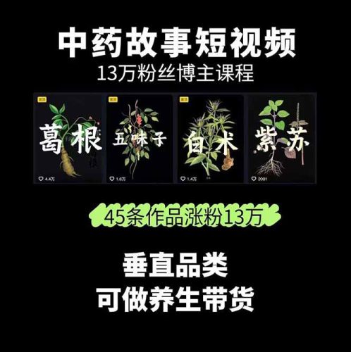 （15925期）中草药养生赛道：AI文案+故事模板+橱带货，45条作品涨粉13w+单月变现1万+